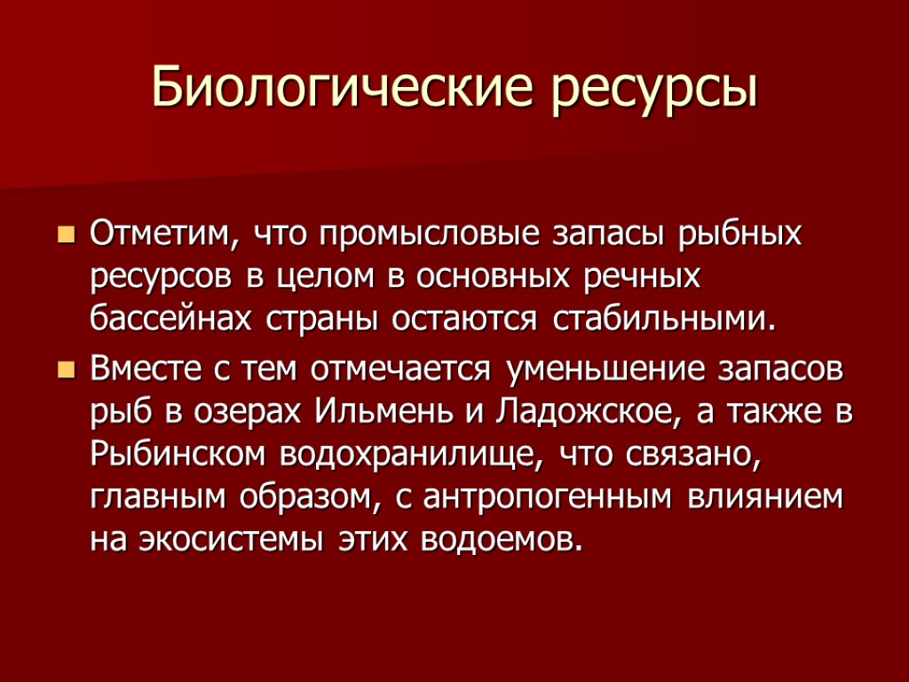 Биологические ресурсы Отметим, что промысловые запасы рыбных ресурсов в целом в основных речных бассейнах